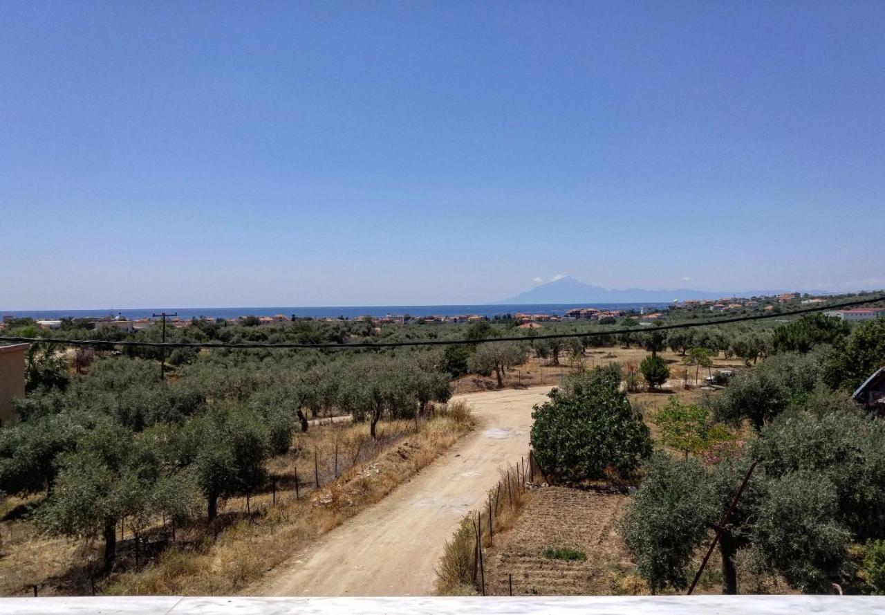 Appartement Olive Grove House à Limenaria  Extérieur photo